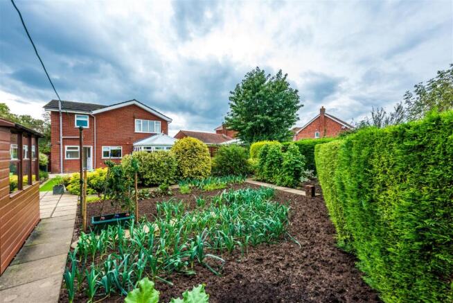 Vegetable Plot