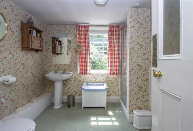 Photo 11