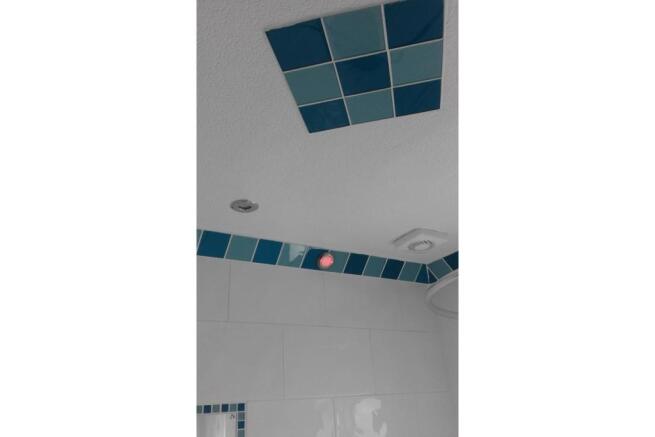 Unnamed photo