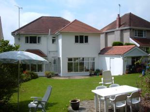 Rear Aspect