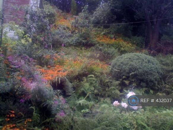 View For Back Bedroom (Summer)