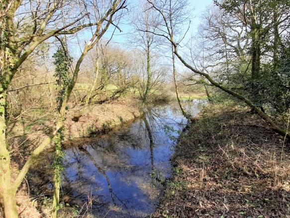 Pond