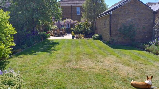 Garden (2)