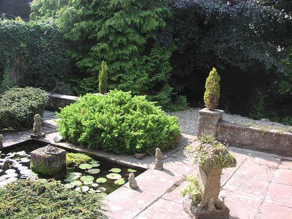 Garden 1