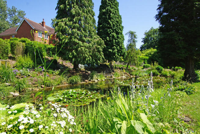Grounds