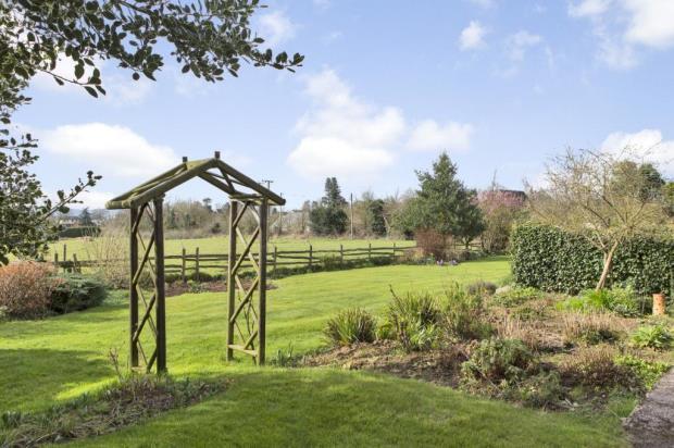 Mature Garden