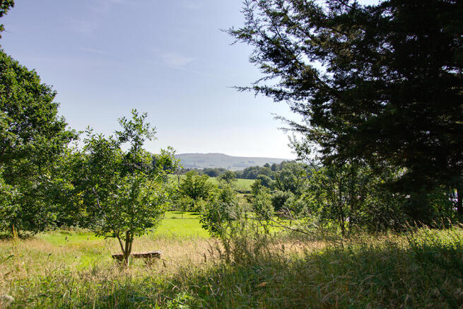 The View from the garden