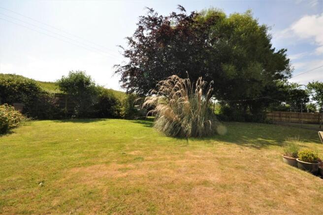 Back Garden