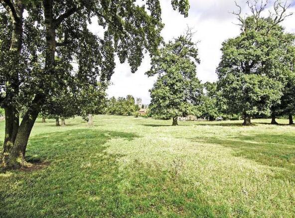 Parkland view