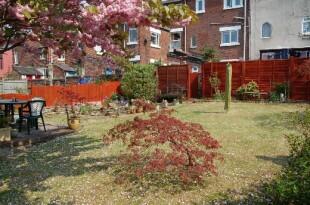 garden