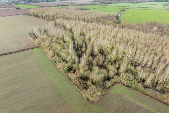 Woodland to the South of Main St Swepstone