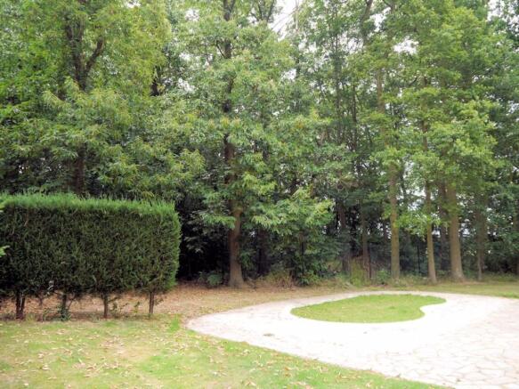Photo 11
