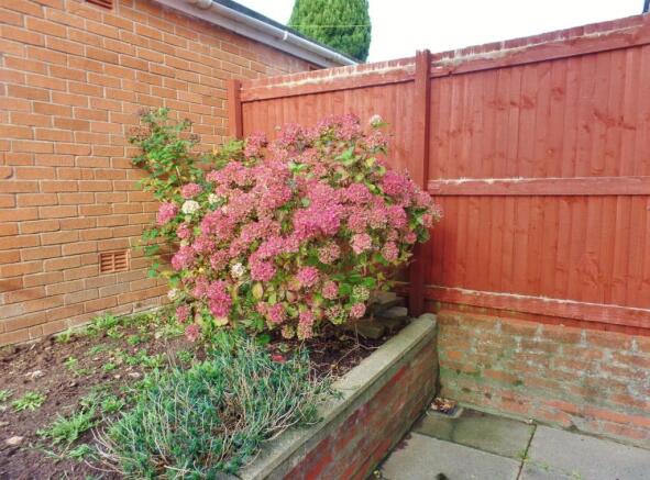 Photo 27