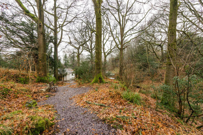 Woodland