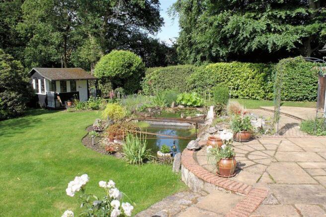Patio and Pond