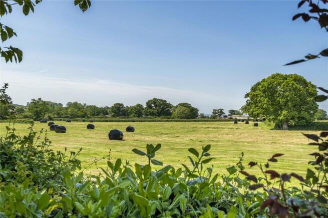 Property Views