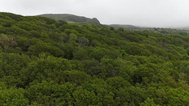 DJI_20260522144641_0038_D.JPG