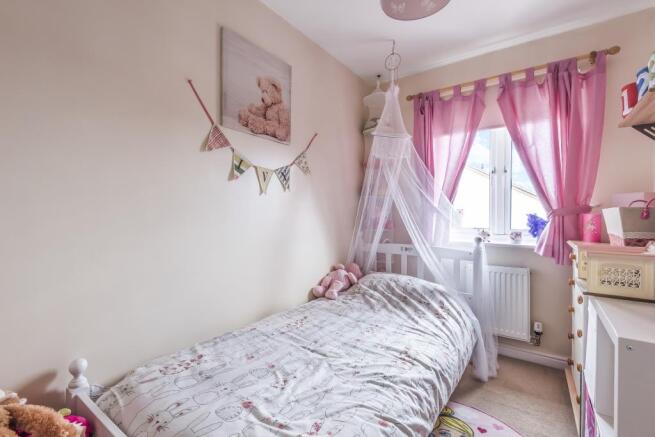 Photos