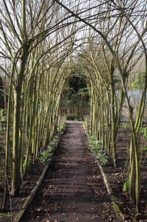 Willow Arch