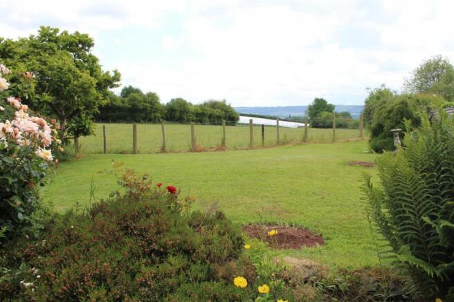 Garden 2