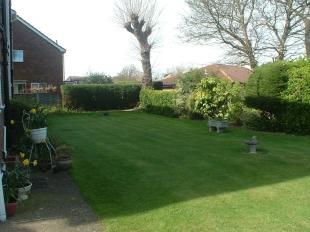 Communal Gardens 2