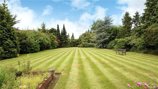 Garden 4