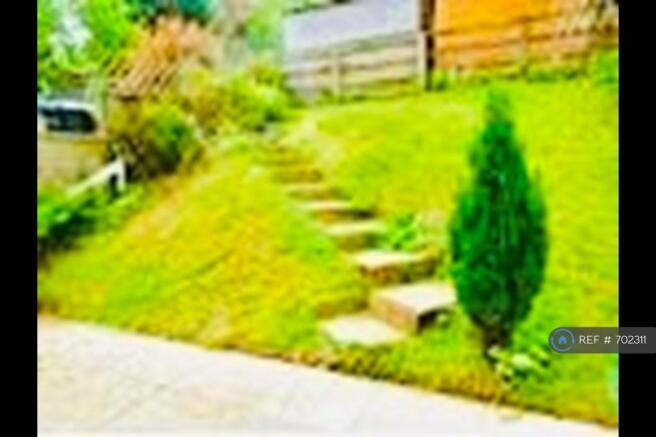 Back Garden