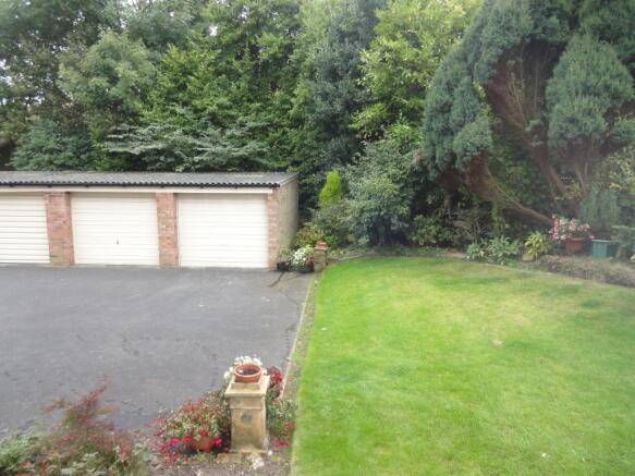 Image 8