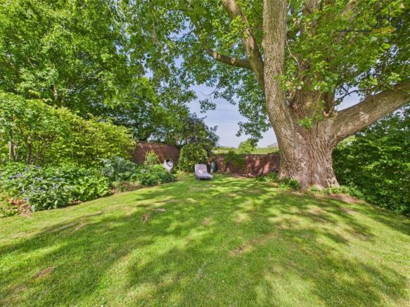 Spacious garden