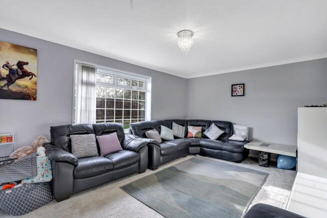 IMG_2995_13_origi...