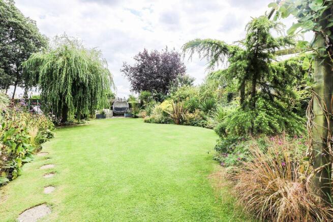 Garden at Back