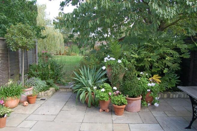 Photo 15