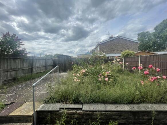 garden.jpeg