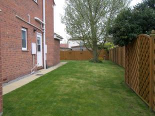 Side Garden