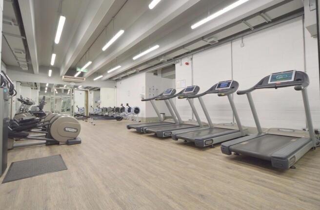 BQ gym.jpg