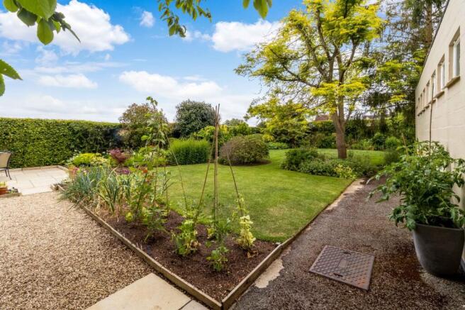 Rear Garden (2023)
