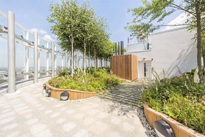 Roof Terrace