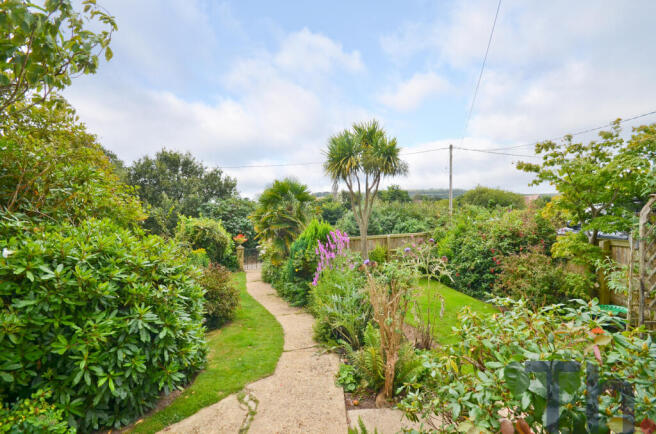 Pretty Well Stocked Front Garden.JPG