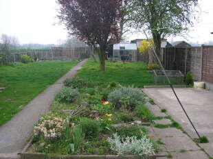 Photo 4
