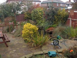 garden