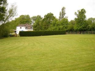 Front/Paddock