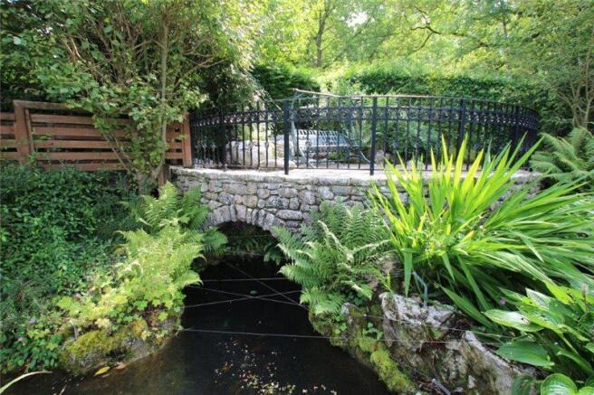 Pond and Patio