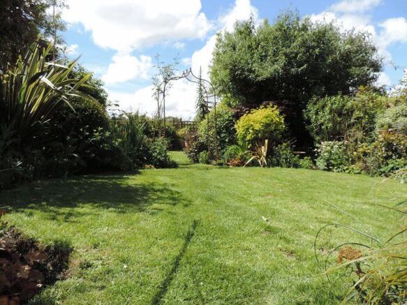 Back garden