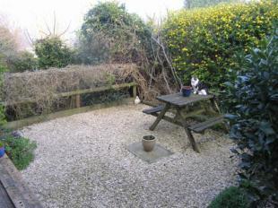 Patio Area