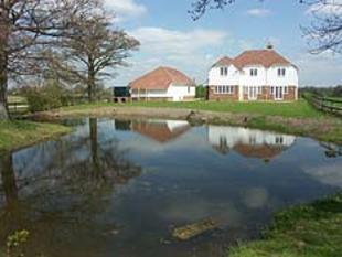 Pond overhung by two oak trees