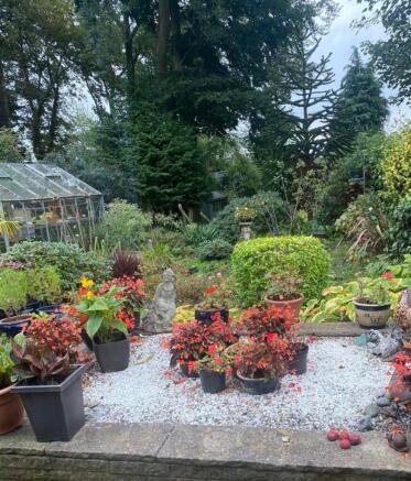 Heyes Avenue Summer Garden