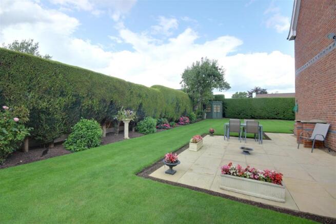 Patio Area