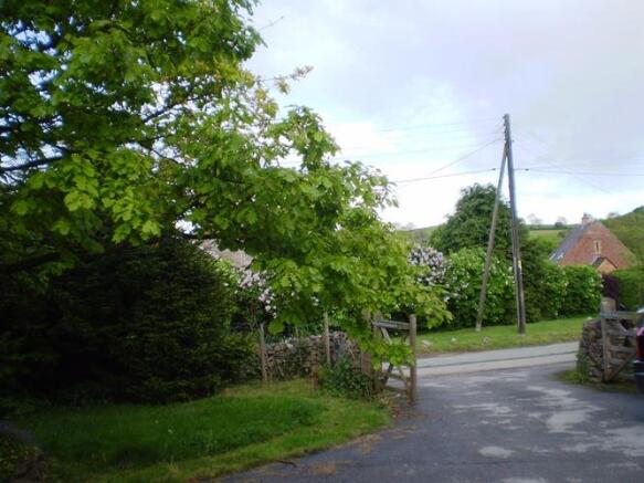 Photo 13