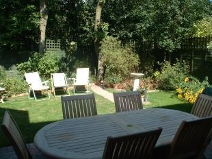 Garden Shot 1