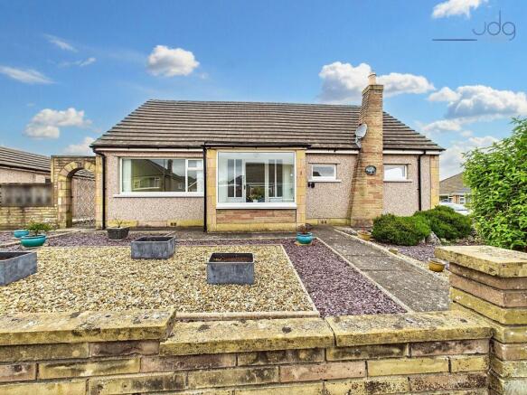 Welcome to Ashfield Avenue